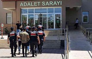 Hırsızlık zanlıları jandarmadan kaçamadı