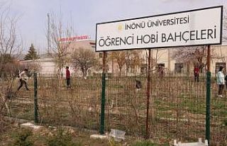 Hobi bahçeleri öğrencilerin hizmetinde