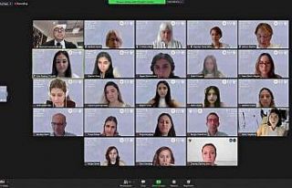 İç mekan tasarımında bitki kullanımı stresi...