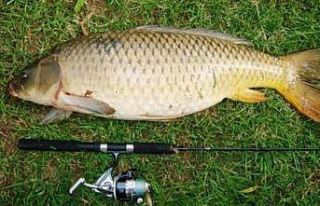 İç sularda su ürünleri avcılığı başladı