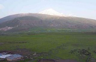 Iğdır’da yeşeren meralar koyun sürüleriyle...