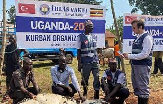 İhlas Vakfı kurban hisse vekâlet bedellerini açıkladı