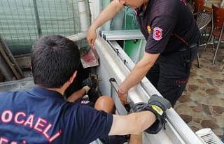 İki bina arasında mahsur kalan kediye itfaiyeden...