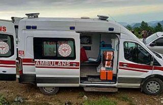 İneği ile birlikte uçuruma yuvarlanan kadın hayatını...