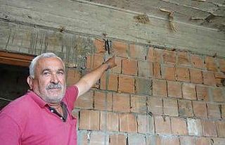 İnşaattaki kuş yuvasından beyaz kırlangıç çıktı,...