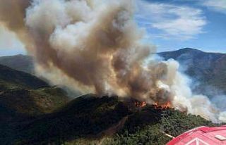 İspanya’da orman yangını: 3 yaralı