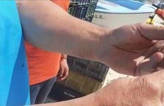 Isparta’da 500 kilogram canlı kerevit ele geçirildi