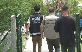 İstanbul merkezli 14 ilde tropik hayvan kaçakçılarına...