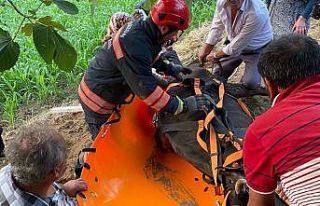 İtfaiyeden inek kurtarma operasyonu