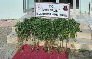 İzmir’de 11 ilçede uyuşturucu operasyonu: 25...