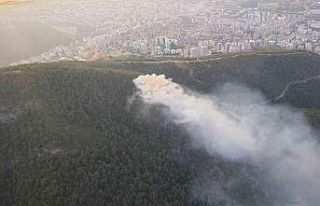 İzmir’de ormanlık alanda çıkan yangın söndürüldü