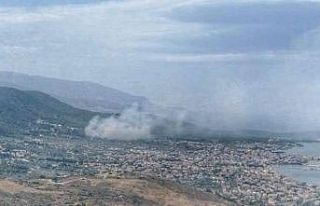İzmir’de yerleşim yerlerine yakın ağaçlık...