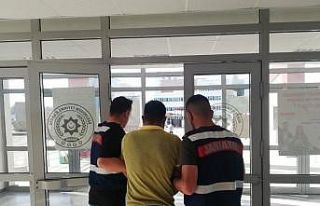 Jandarmadan terör operasyonu