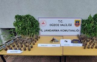 Jandarmadan uyuşturucu baskını