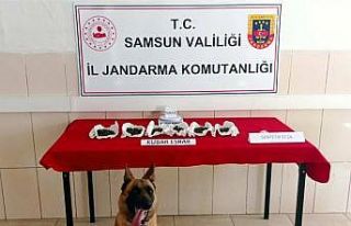 Jandarmadan uyuşturucu operasyonları: 37 gözaltı