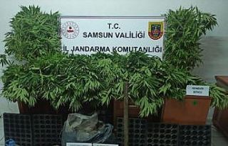 Jandarmadan uyuşturucu ve kaçakçılığa geçit...
