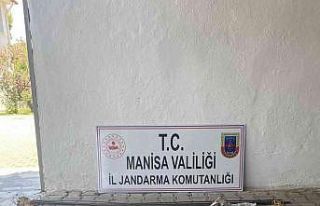 Jandarmanın dikkati hırsızlığı önledi