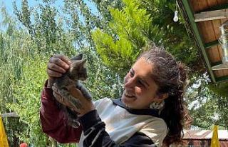 Kadın işletmeci motora sıkışan kediyi bahçesindeki...