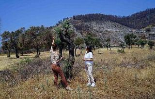Kadınlara kompost yapım eğitimi