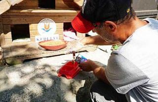 Kağıthane’de 10 bin sokak hayvanı tedavi ve muayene...