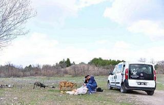 Kahramankazan Belediyesi can dostlarının mama ve...