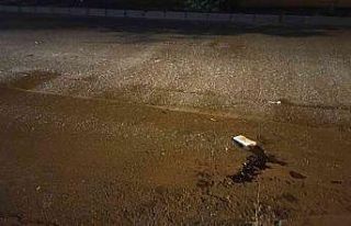 Kahramanmaraş’ta trafik kazası: 2’si çocuk...