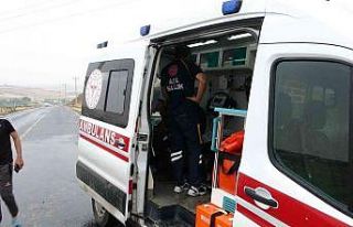 Kahvaltı yapmak için ağaç altına sığınan 6...