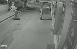 Kaldırımdaki çiçeği çaldı