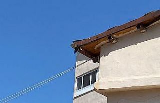 Kanadı çatıya sıkışan karga kurtarıldı