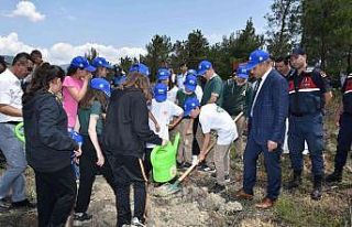 Karabük’te küle dönen orman dikilen fidanlarla...