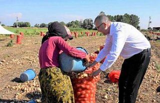 Karacabey’de soğan hasadı bereketli başladı