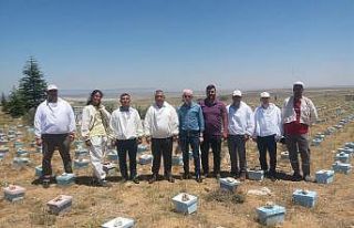 Karaman’da arıcılar sezonu açtı