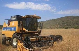 Karaova’da Karakılçık Buğdayı hasadı yapıldı