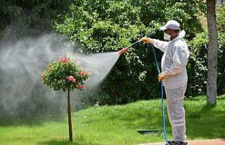 Karatay’da ilaçlama çalışmaları hız kazandı