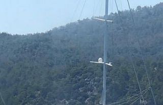 Karaya oturan yelkenlideki 4 kişi kurtarıldı