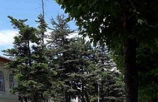 Karşıya geçmek isteyen öğrenciye otomobil çarptı