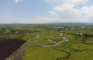 Kars’tan doğuyor Hazar Denizi’ne dökülüyor