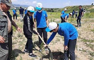 Kastamonu Üniversitesi’nde fidanlar toprakla buluşturuldu
