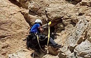 Kayalıklarda mahsur kalan keçi 4 gün sonra kurtarıldı