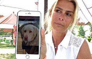 Kaybettiği köpeğini kulübesinin başında bekliyor