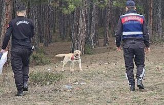 Kayıp 2 gence ait sabah saatlerinde izler bulundu