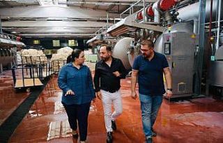 Kaymakam Demir, organize sanayide incelemelerde bulundu