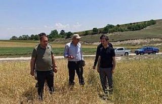 Kaymakam İrdelp, hasar tespit çalışmalarına katıldı