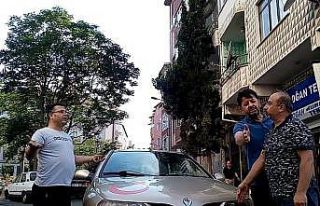 Kaza tartışmasında ilginç diyalog: “Kardeşin...