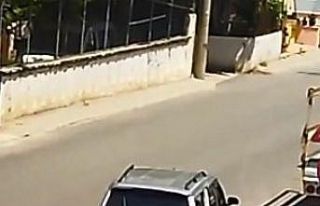 Keçileri kaçıran sürücü kamerada...