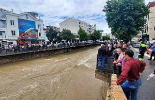 Kedi kurtarma operasyonunu yüzlerce kişi film izler...