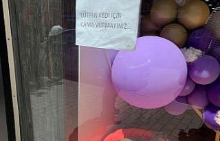 Kedisinin korkmaması adına çözümü yazı asmakta...