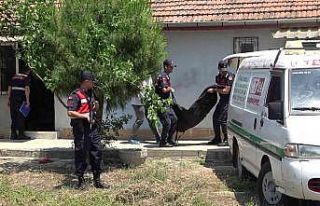 Kendisinden şikâyetçi olan karısını 5 kurşunla...