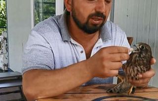 Kendisine emanet edilen yırtıcı kuşla arkadaş...