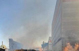 Kereste fabrikasında yangın